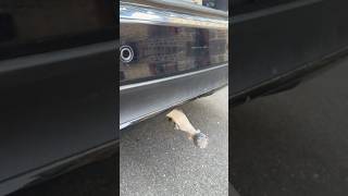 Attache Remorque Mercedes Cest Top