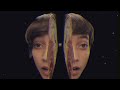 Pelican Video preview