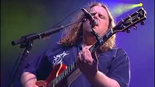 Watch Govt Mule Lay Of The Sunflower video