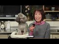 Okonomiyaki das Quebrada feat. Murakami & Cooking With Dog