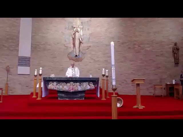 Seventh Sunday of Easter: Ascension Sunday