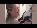 You'll LAUGH FOR SURE! - Best FUNNY ANIMALS