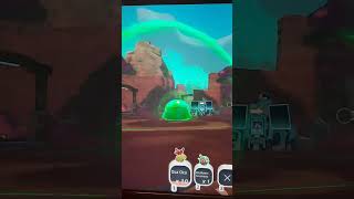 Catching A Gordo Rad Slime On The Farm... Not Realizing His Radiation Size Til Its Too Late