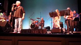 Green Earrings - the Steely Dan experience: Aja