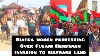 Biafra News Today - Biafra Women Protecting Over The Invasion Of Fulani Herdsmen In Biafra Land