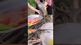 Kocak Ikanya Masuk Kolam