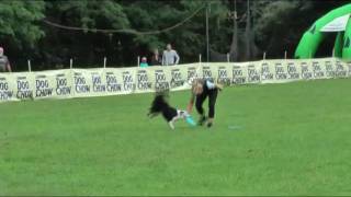 Maja Kokalj And Nelly - Skyhoundz European Championship Budapest 2009