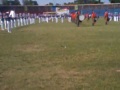 image Drumband Gita Dirgantara Tni Au 02 Mei