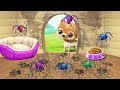 Vệ Sinh Nhà Cho Cún Cưng, Phòng Tắm, Nhà Bếp, Phòng Ngủ – Game Vui Cho Bé