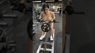 Alat Latihan Punggung Di Gym