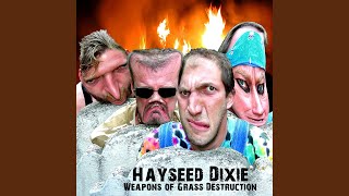 Watch Hayseed Dixie Down Down video