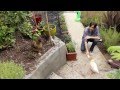 WeSC Fall 2012: Chad Robertson - Supe... WeSC Fall 2012: Chad Robertson - Supe...