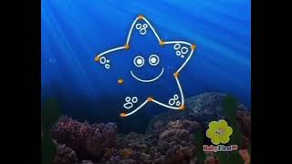 Scuba Dots Ep 10 Starfish