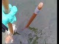 Imagen del vídeo metal detecting for gold : 7 TIMES GOLD !!!!