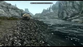 The Elder Scrolls Skyrim.talos Shrine Location For Thane Of Haafingar