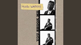 Watch Muddy Waters Just A Dream On My Mind Stereo Version video