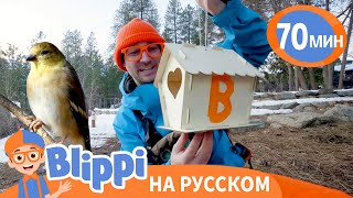 Какие Бывают Птицы? | Блиппи На Русском