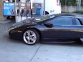 Murcielago