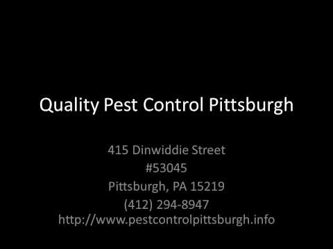 Quality Pest Control - Pittsburgh Exterminator