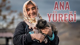 Ana Yüreği̇ Karaören Köyü Aksaray