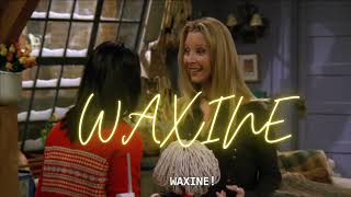 Monica, Phoebe And Joey Tries Waxinefriends Season 3 Episode 16