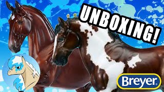 Unboxing Breyer Glossy Verdades and Seamus! | PPS Unboxing