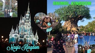 Disney World Vlog! | Magic Kingdom & Animal Kingdom |