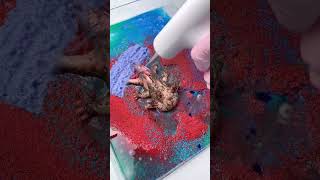 Cleaning Squishy Asmrnewt