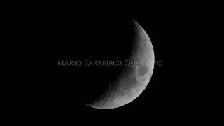 Mario Barreiros Quarteto - El Árbol Negro (Demian Cabaud)