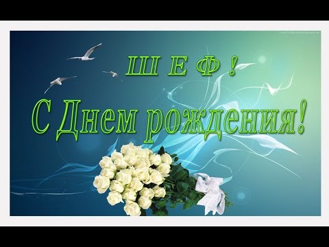 Поздравления с днем рожденья коллеге начальнику Поздравления с днем рожденья коллеге начальнику