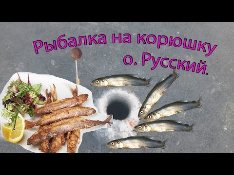 на что ловить корюшку с берега на что ловить корюшку с берега
