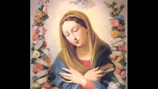 Stedina Għall-Ommijiet.wmv