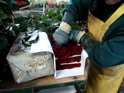 EXPORTACION FLOR ECUADOR exportacion flor ecuador: