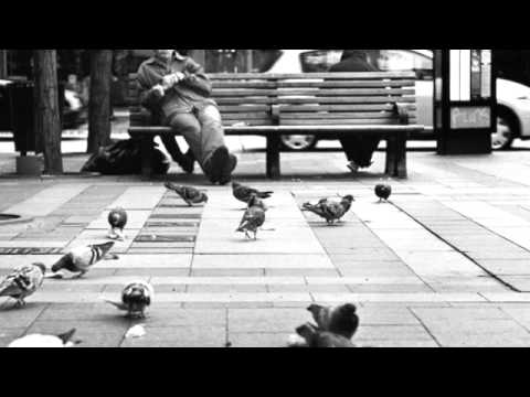 Gunn Clapp Video