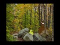 Bear And Rabbit images Bear And Rabbit