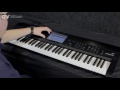 korg