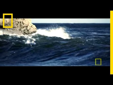 Aftermath: Cities Crumble