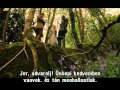 Ranker Video