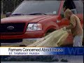 Sub-Freezing Temps Threaten Strawberry Crops