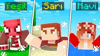 Yanliş Renge Değmek Yasak - Minecraft