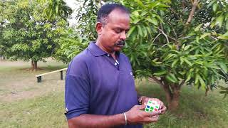 Explore a Memorable Experience with Capt Subbu Solving Rubik's Cube