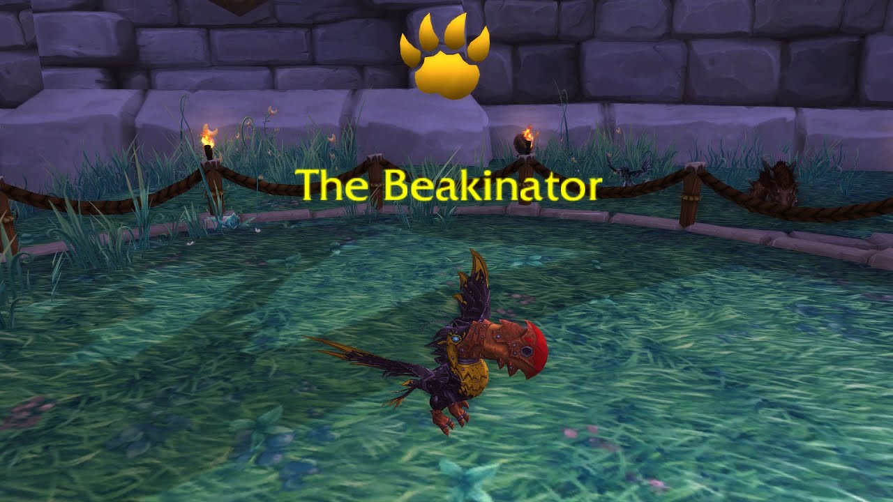 The Beakinator Pet Battle Guide - World of Warcraft - YouTube