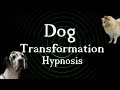 Hypnosis - Dog Transformation