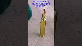 257 Weatherby At 1000 Yards