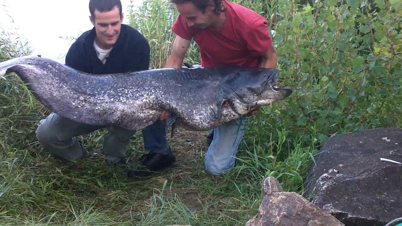 La pêche dhiver les adaptations improvisées