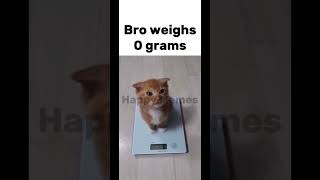 Bro Doesnt Even Exist