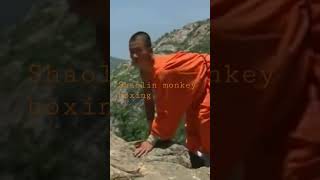 Shaolin Monkey Boxing