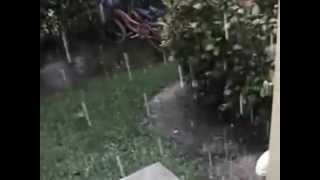 Watch Madeleine Peyroux California Rain video