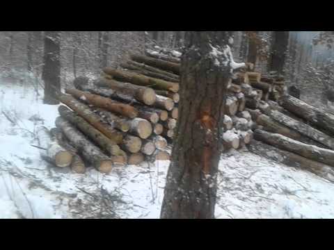 В лесу своими руками б у