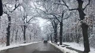 Kış Geliyor - Kubrat Bisertsi